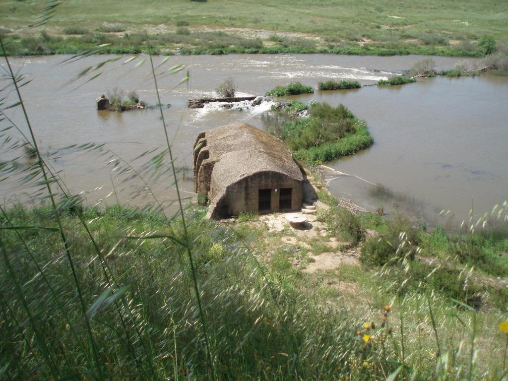 Casa De Pedrogao Affittacamere Pedrogao  Esterno foto